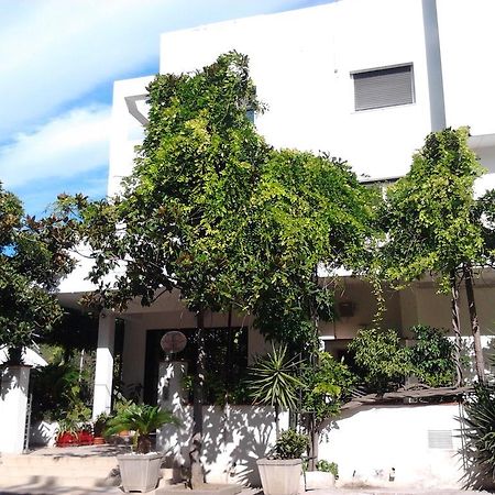 Hotel Calla' Policoro Luaran gambar